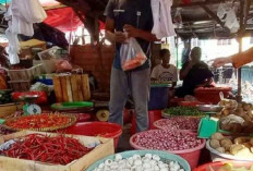 Stok Cabai di Babel Aman, Harga Stabil Meski Masih Bergantung Pasokan Luar Daerah