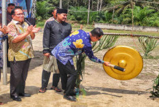 Wabup Syamsir Buka Pesta Budaya Desa Buluh Tumbang, Berlangsung Selama Enam Hari