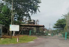 Dugaan Korupsi Dana Pascatambang PT Koba Tin Diusut, Siapa Saja Bakal Terseret?