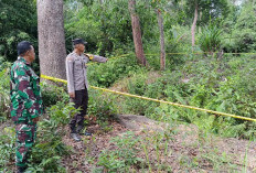 Penemuan Mayat di Desa Senyubuk Gegerkan Warga, Polres Beltim Lakukan Investigasi