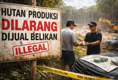 Kasus Mafia Tanah Mencuat di Air Ranggong Belitung, Hutan Produksi Diduga Diperjualbelikan