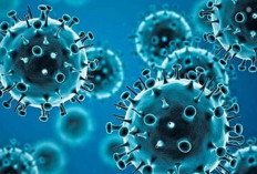 Waspada Covid-19! Dinkes DKI Jakarta Temukan 38 Kasus Positif Hingga Mei 2025