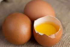 Manfaat Tersembunyi Cangkang Telur, Dapat Dijadkan Pupuk Organik untuk Tanaman
