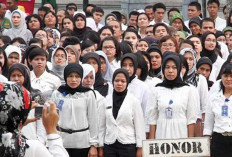 150 Honorer Pemprov Babel Diputus Kontrak, Ternyata Ini Penyebabnya