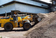 IPB Ungkap Potensi Besar Limbah Sawit Jadi Produk Bernilai Tinggi, Dorong Ekonomi Sirkular