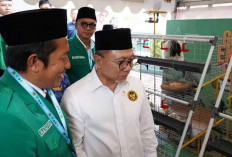 Indonesia Tidak Impor Beras Sepanjang 2025, Stok Nasional Capai 4 Juta Ton