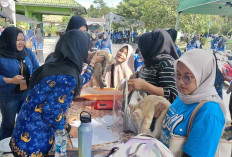 Ratusan Kucing di Beltim Diperiksa Gratis, Warga Antusias Sambut Hari Pangan Sedunia 2025