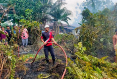 Karhutla Mulai Marak di Belitung, 6 Kasus Tercatat dalam Sepekan