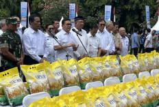 Stabilkan Harga, Pemerintah Salurkan 43.665 Ton Beras SPHP Lewat Gerakan Pangan Murah