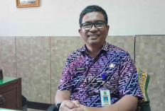 Pemkab Belitung Buka Seleksi Terbuka, Simak Jabatan Apa Saja & Tahapannya