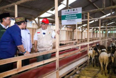 Baznas Gelar Program Kurban Berkah Berdayakan Desa 2026 di 103 Titik se-Indonesia