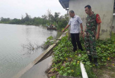 Kades Kurnia Jaya Tinjau Talud Rusak, Desak Pemkab Beltim Segera Turun Tangan