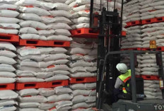 Pemerintah Sebut Stok Beras 5,37 Juta Ton Siap Hadapi Musim Kemarau 2026