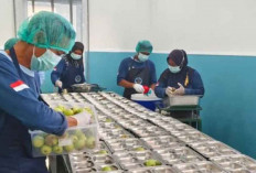 BGN Bantah Isu SPPG Fiktif, Pembangunan Diawasi Ketat Demi Kelacaran MBG