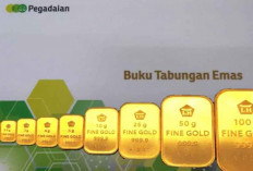 5 Jenis Investasi Jangka Panjang Terbaik dan Paling Cuan!