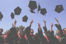 Jadwal Seleksi CPNS 2024, Fresh Graduate dan Honorer Bersiaplah