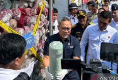 Mendag Bentuk Tim Khusus Ungkap WNA Pemasok Barang Impor Ilegal di Indonesia