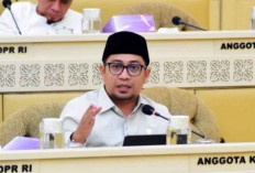 Kasus Ijazah Palsu Wagub Babel, Komisi II DPR Minta KPU Evaluasi Verifikasi