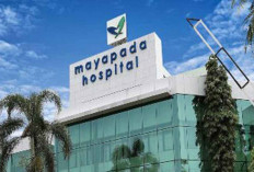 Deretan Crazy Rich Indonesia Pemilik Jaringan Rumah Sakit Raksasa