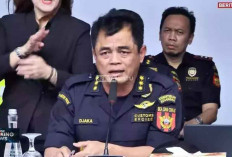 DJP Ungkap Manipulasi Data Ekspor Sawit, Ratusan Eksportir Gunakan Modus Under-Invoicing