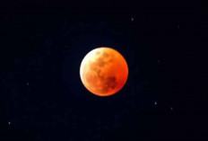 Fenomena Langka! Gerhana 'Blood Moon' Bisa Disaksikan di Indonesia Timur pada 14 Maret