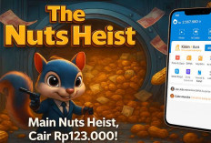 Rahasia Pengguna Dapat Rp123.000 dari Aplikasi Penghasil Uang Nuts Heist, Ternyata Gampang!