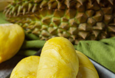 6 Manfaat Durian bagi Tubuh yang Mungkin Belum Anda Ketahui