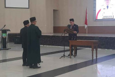 Bupati Pilih Hendri Yani Jadi Pj Sekda Beltim Berdasarkan Kinerja, Bukan Kedekatan