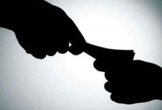 Indef Sebut Motif Ekonomi Picu Praktik Premanisme dan Pungli