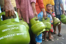 Jaga Stabilitas Hargan: Pemerintah Wajibkan Pedagang Eceran LPG 3 Kg Daftar jadi Pangkalan Resmi