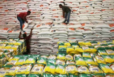 Tanpa Impor, Stok Beras Nasional Tembus 3,6 Juta Ton di Mei 2025
