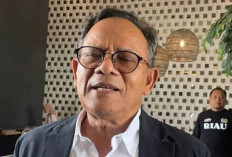 Dewan Pers: Dominasi Platform Global Picu PHK di Industri Media