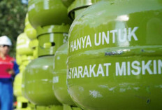 Pengecer LPG 3 Kg Wajib Daftar sebagai Pangkalan, Begini Cara dan Manfaatnya