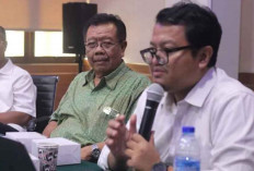 Industri Kehutanan RI Terancam, Pakar Desak Investasi Segera Masuk