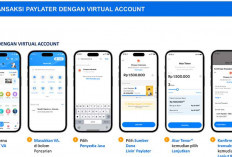 Cara Cepat Ajukan Livin' Paylater 2025: Pinjaman Online Mandiri Langsung Cair