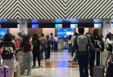Tiket Pesawat Domestik Bebas PPN, Berpotensi Turunkan Harga dan Dongkrak Ekonomi