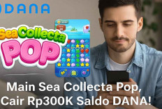 Main Game Santai, Cair Rp300.000 Saldo DANA Gratis dari Sea Collecta Pop!