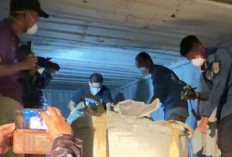 Hampir Sebulan Tertahan di Batam, Status 15 Kontainer PT PMM Masih Menggantung