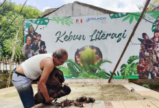 Wujudkan Ketahanan Pangan Dimulai dari Pekarangan Rumah