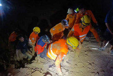 Tragedi Maut di IUP PT Timah: 7 Penambang Tertimbun Longsor Pemali