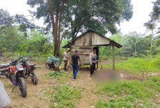 Penemuan Mayat di Kebun Durian Hebohkan Warga Membalong, Polres Belitung Langsung ke TKP