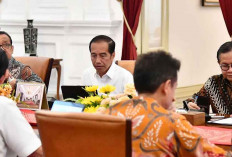 Antisipasi Wabah Cacar Monyet: Jokowi Instruksikan Pencegahan Ketat Menjelang Indonesia-Africa Forum 20