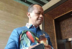 Bahlil Sebut 4 Perusahaan Asing Siap Berinvestasi di IKN, Fokus pada Sektor Properti