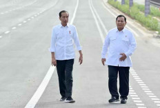 Perpres No. 83 Tahun 2024: Presiden Jokowi Bentuk Badan Gizi Nasional