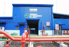 PLN Indonesia Power Siapkan 13 Green Hydrogen Plant untuk Penuhi Kebutuhan Hidrogen Hijau Domestik