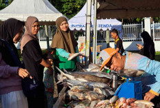 Sambut HJKT ke-188, Dinas Perikanan Belitung Hadirkan Bazar Ikan Murah untuk Kendalikan Inflasi