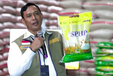 Jaga Stabilitas Harga Beras, Bulog Percepat Penyaluran SPHP dan Bantuan Pangan