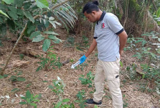 Warga Desa Simpang Pesak Digegerkan Penemuan Mayat, Polisi Lakukan Penyelidikan