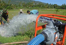 Pompanisasi Untuk Ketahanan Pangan Nasional