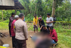 Mayat Ditemukan di Kebun Durian Desa Bantan Membalong, Berikut Identitas dan Kronologinya